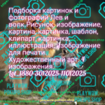 cd632f403d319c7cb5042880d2307787